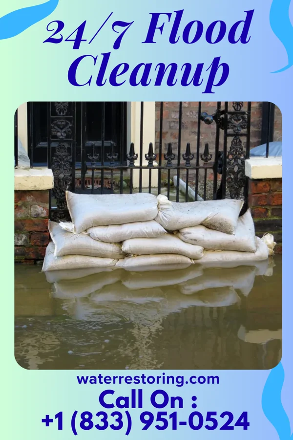 24/7 Flood Cleanup in Pulaski, VA