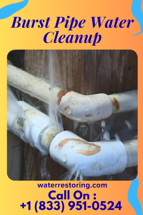 Burst Pipe Water Cleanup in Pulaski, VA