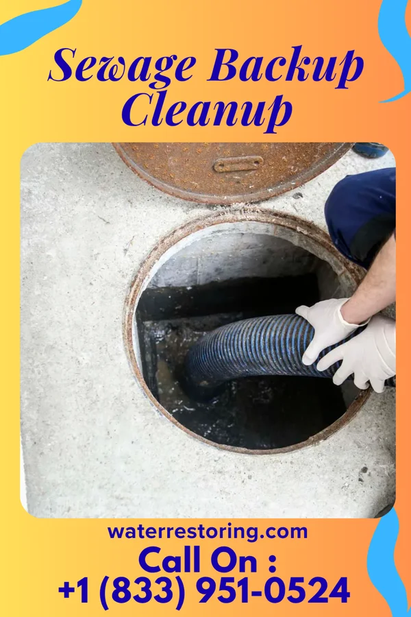 Sewage Backup Cleanup in Pulaski, VA