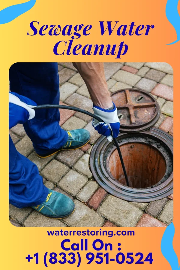 Sewage Water Cleanup in Pulaski, VA
