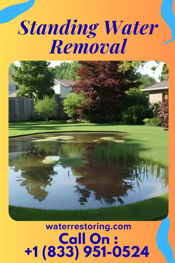 Standing Water Removal in Pulaski, VA